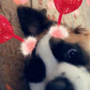 Meet your Posher, Savannah